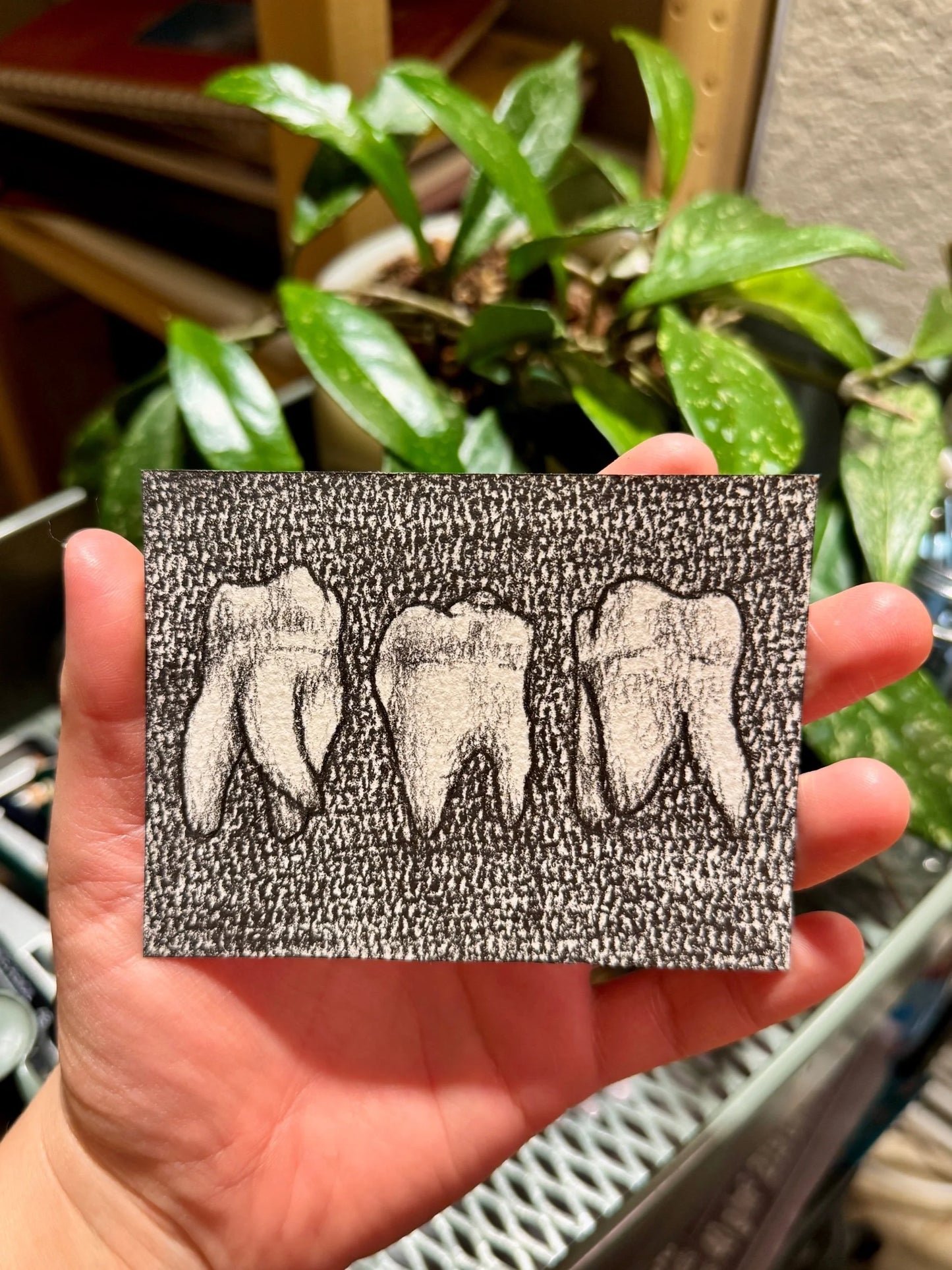 Teeth Trio graphite drawing