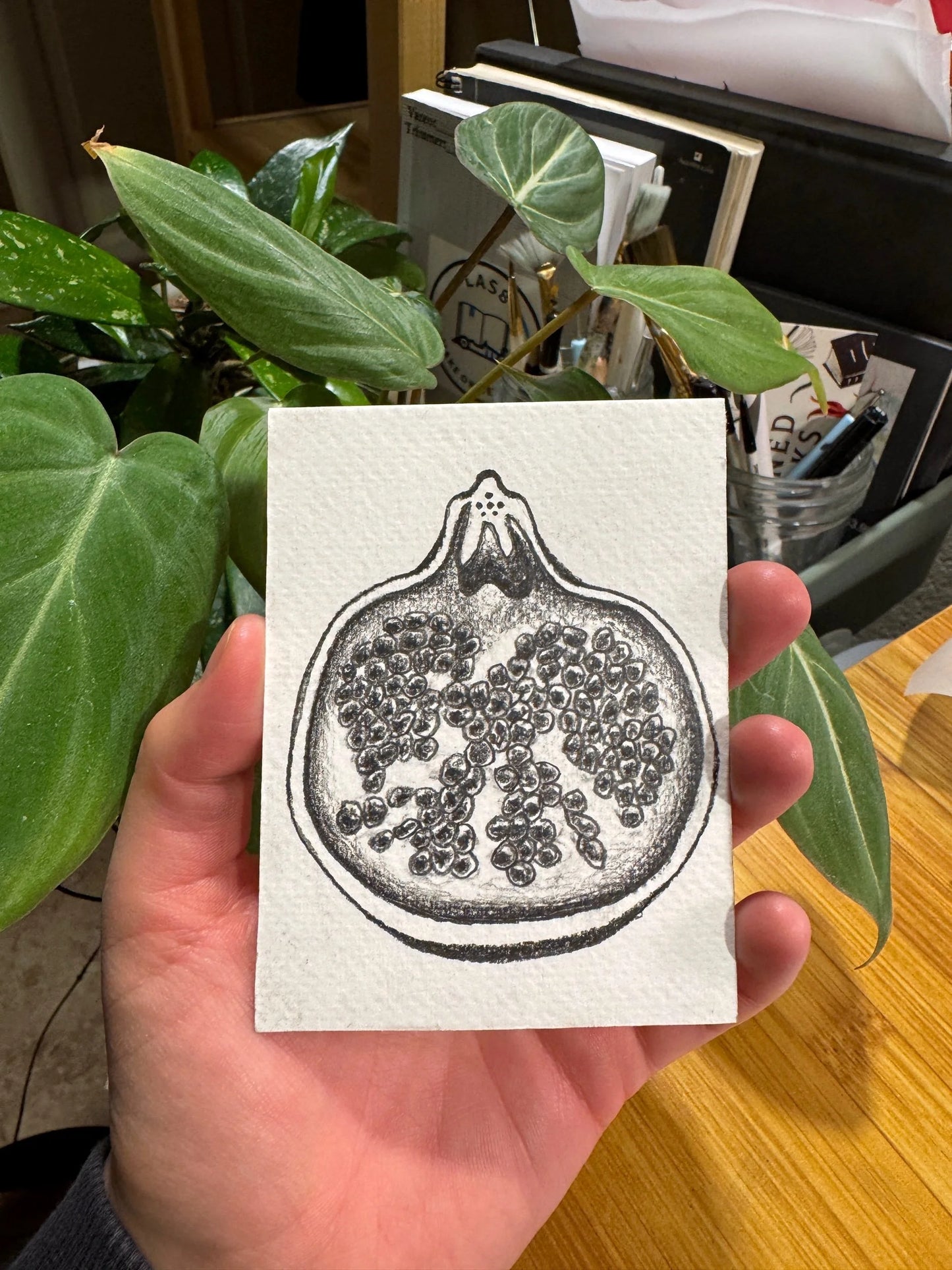 Pomegranate graphite drawing