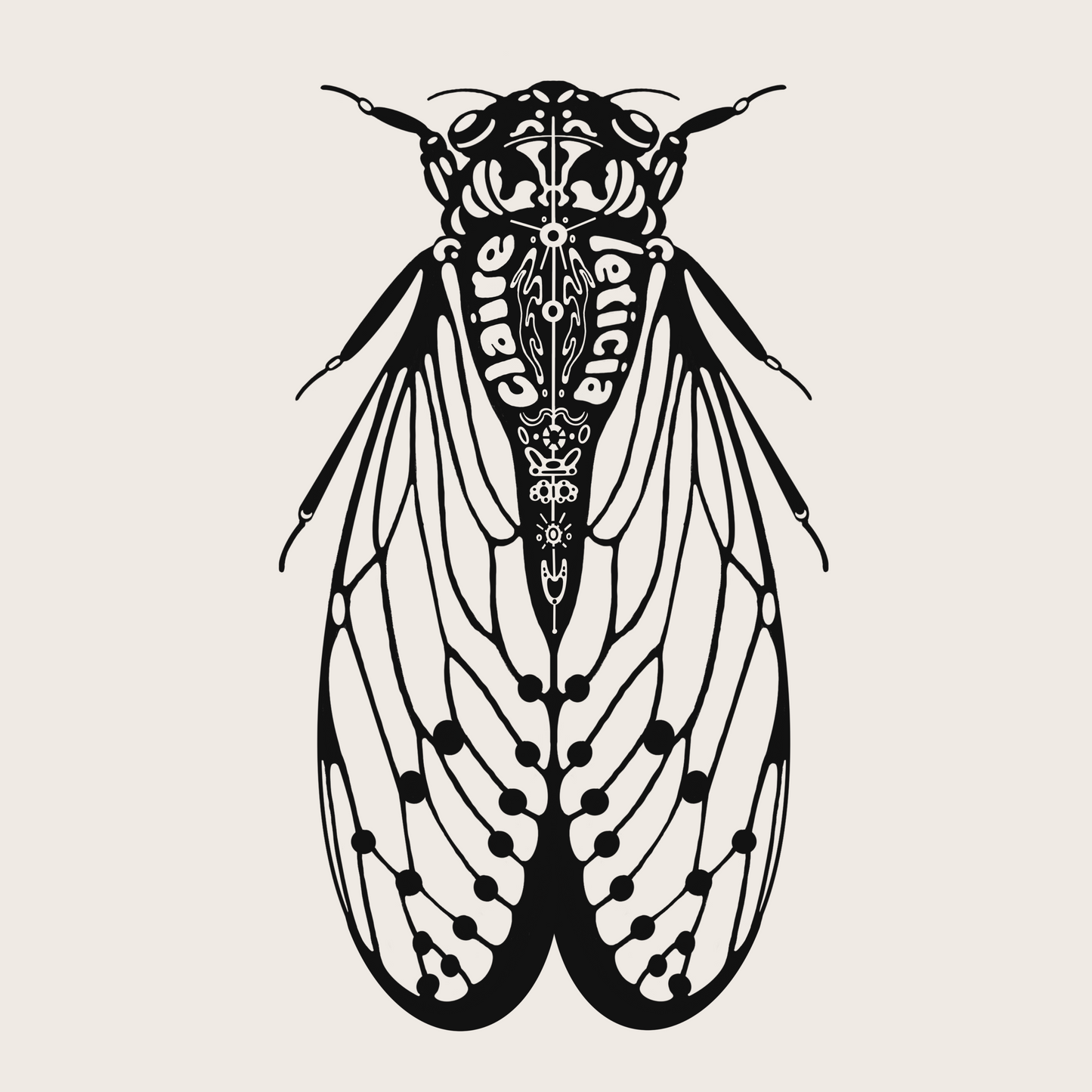 Cicada sticker
