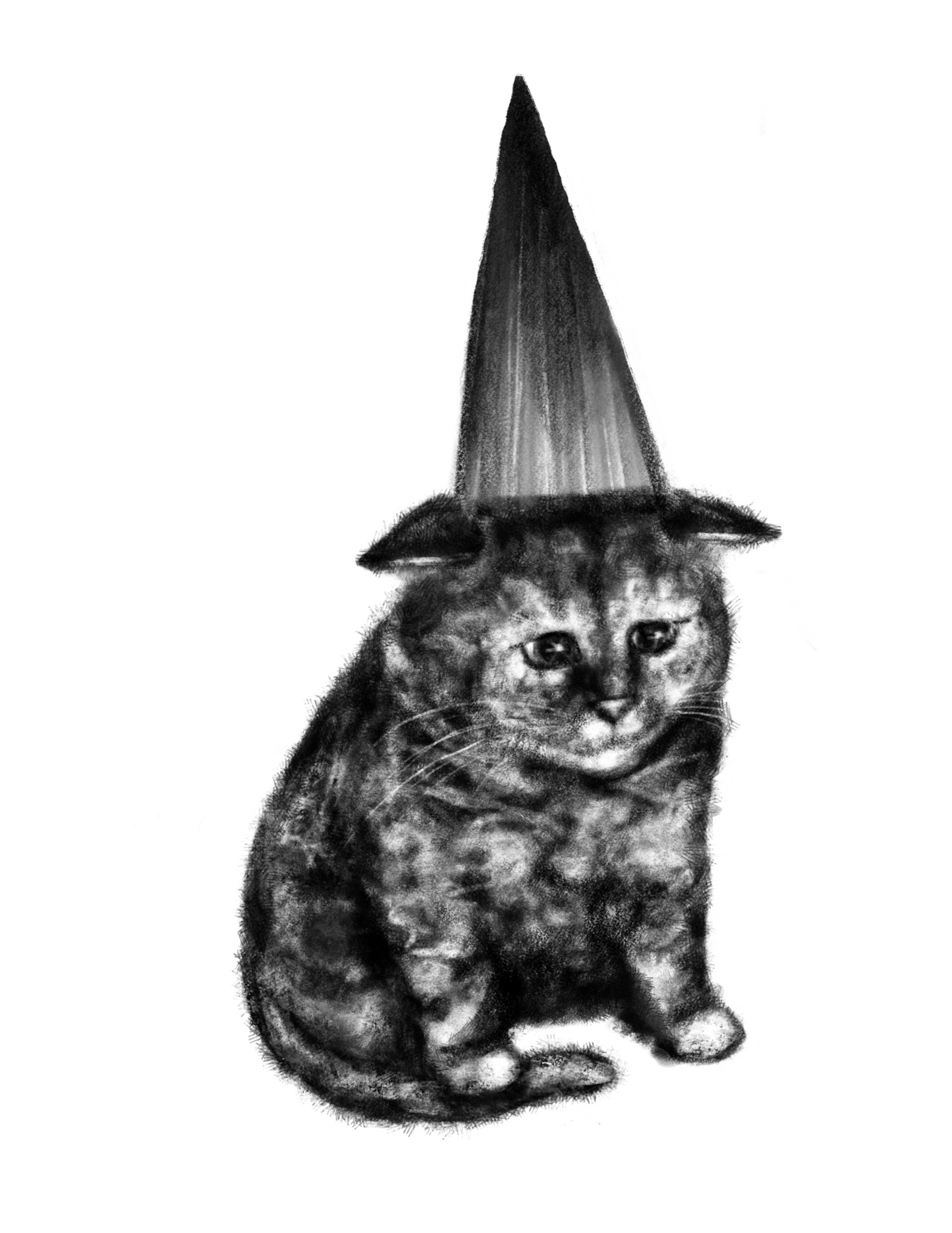Party Hat Cat sticker