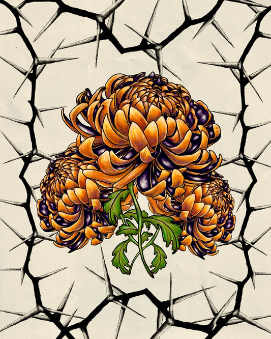 October’s Chrysanthemum print