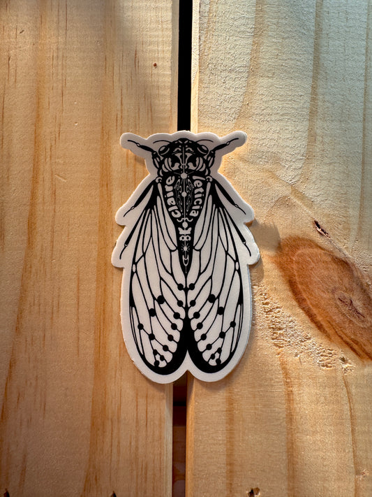 Cicada sticker