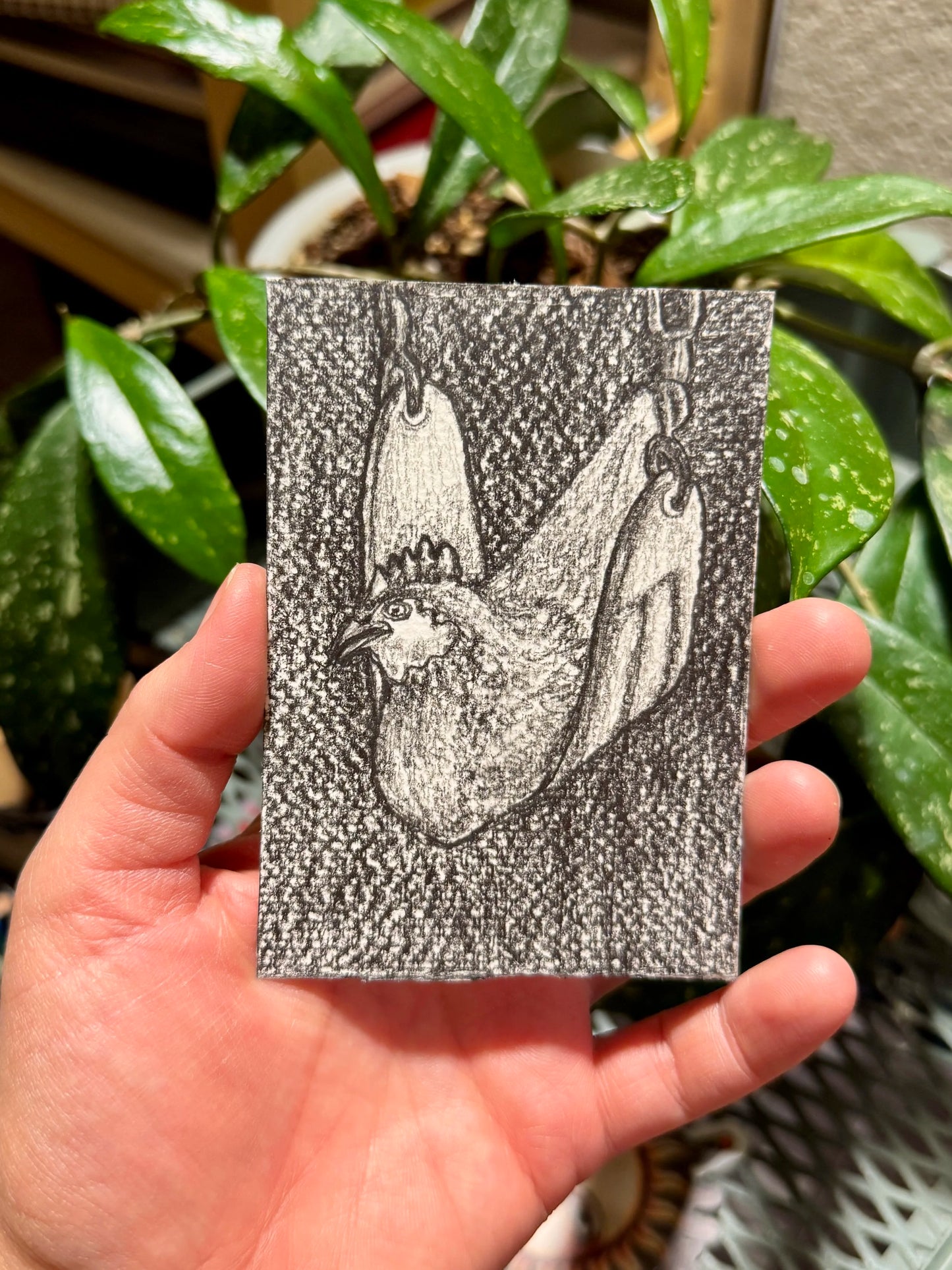 Chicken graphite drawing