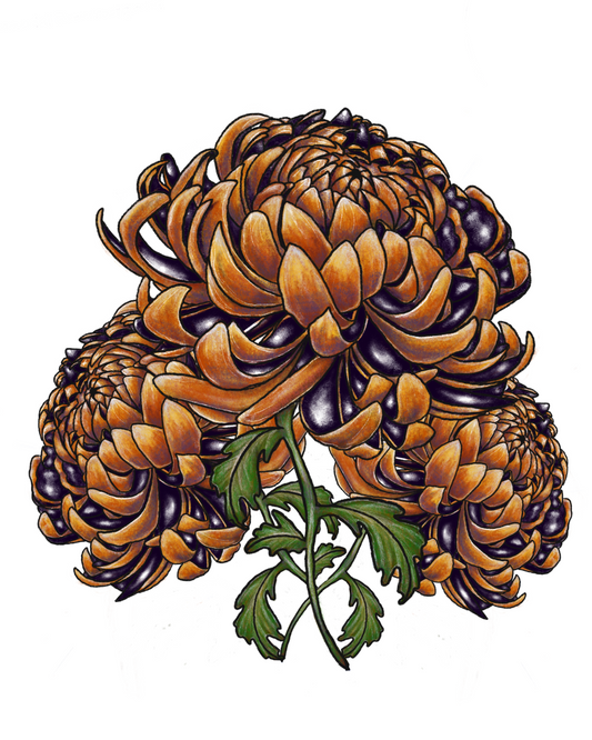 October's Chrysanthemum sticker
